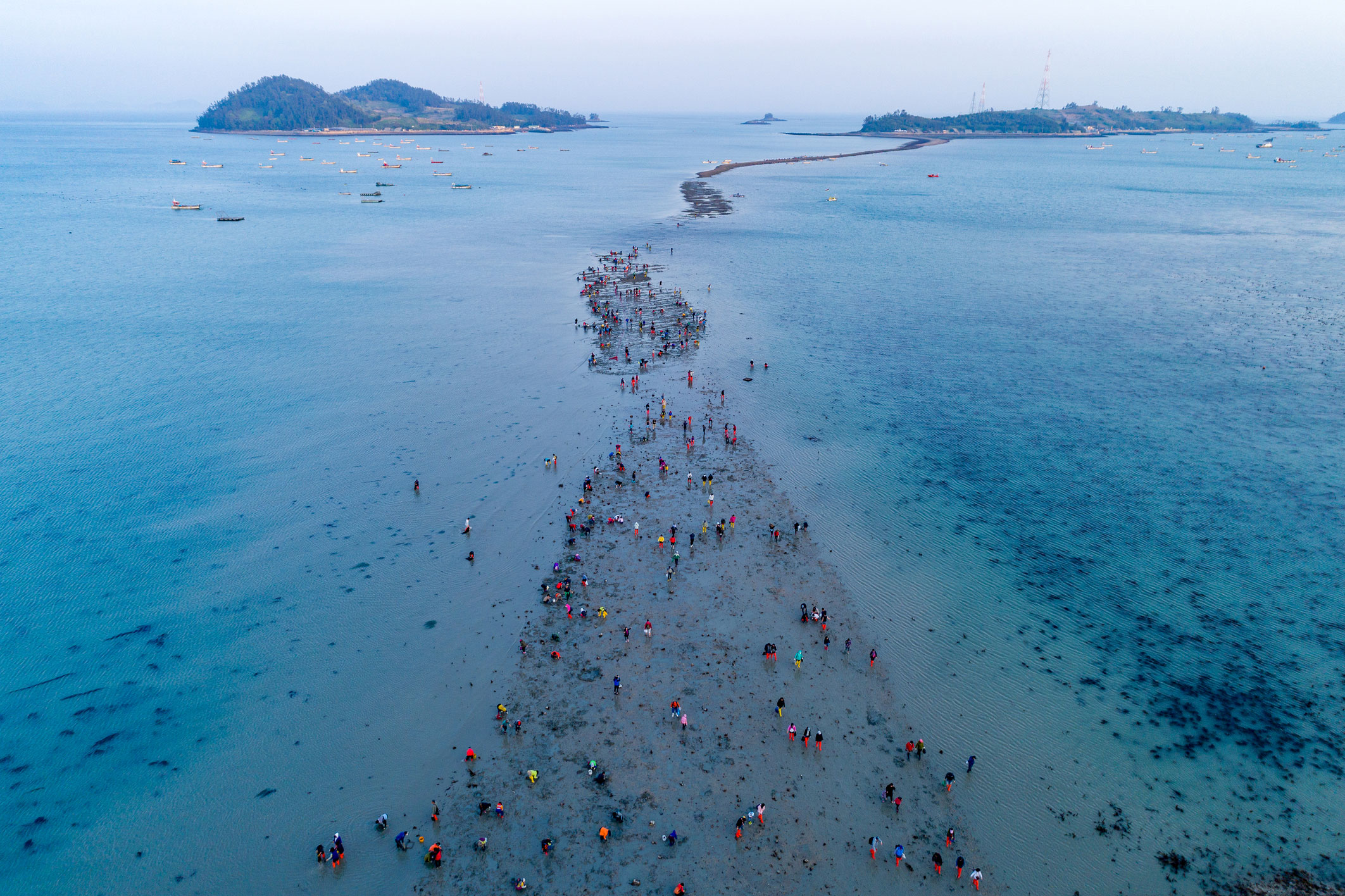 Jindo Mucize Deniz Yolu Festivali